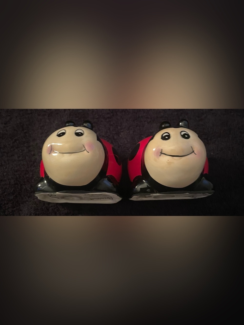 New Burton & Burton Red and Black Ladybug Salt&Pepper Shakers - Picture 6 of 6